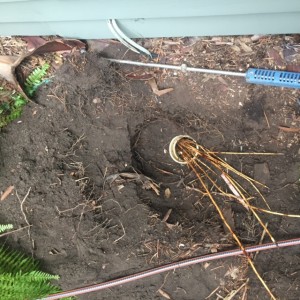 Balmain blocked drain problem                                   